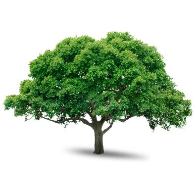 Chara - Rare-Earth Free, Efficient and Intelligent Motors and Controllers