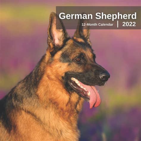 Buy German Shepherds 2022 - 12 Months of High-Resolution German ...