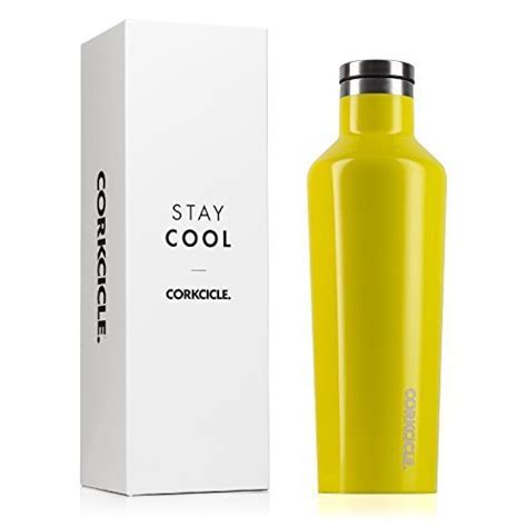 Buy Corkcicle 9oz Canteen Classic Collection - Water Bottle & Thermos ...