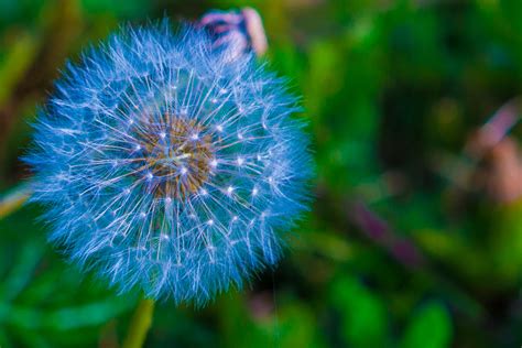 Free It Stock Images 的图像结果