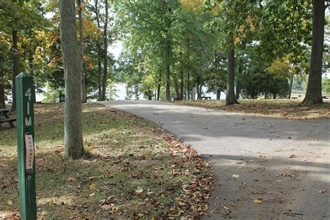 Campsite #41 - Harrison County Parks, Indiana