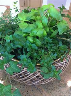 Herb Container Garden by Nothing But Blue Skies Indoor Herb Container Garden Herb Container Garden