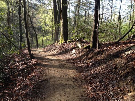 Buffalo Creek Park: The Head, The Heart & The Tail (HHT) Mountain Bike ...