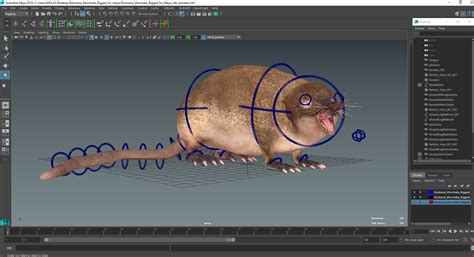Desmana Moschata Rigged for Maya 3D | 3D Molier International