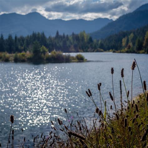 GOLD CREEK POND TRAIL (2025) All You Need to Know BEFORE You Go (with ...