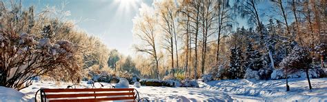 Download wallpaper winter, forest, the sky, the sun, snow, landscape ...