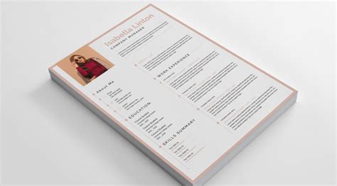 Image result for Template Resume Simple InDesign