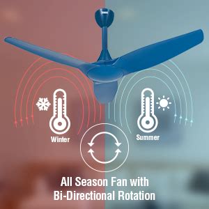 Buy USHA Heleous 1220mm Premium BLDC Ceiling Fan with Rust Free ABS ...