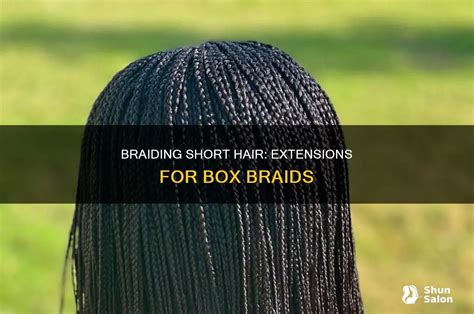 Image result for Short Box Braid Extensions