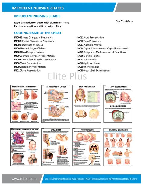 Nursing Chart Tutorial 的图像结果
