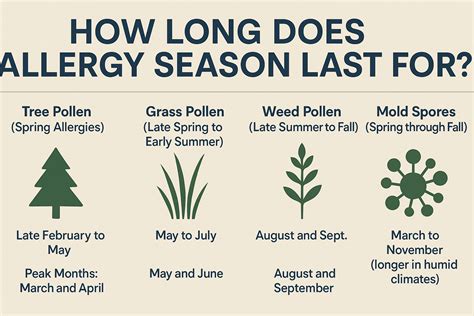 How Long Does Allergy Season Last ? Timeline and Triggers - Sassy Feeds
