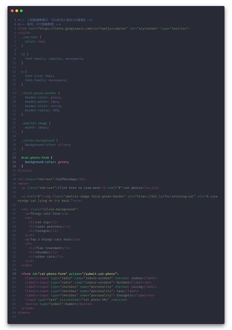 Ethio Programming Css Lecture 46 的图像结果