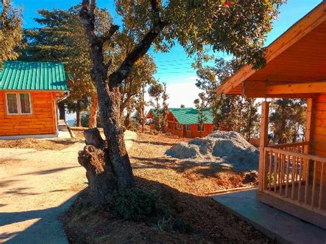 Hidden gem of KMVN - Reviews, Photos - Abbott Mount - Tripadvisor