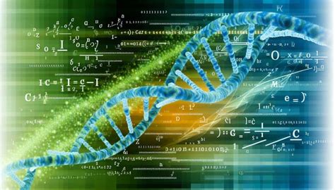 Genetic Algorithm Evolution 的图像结果