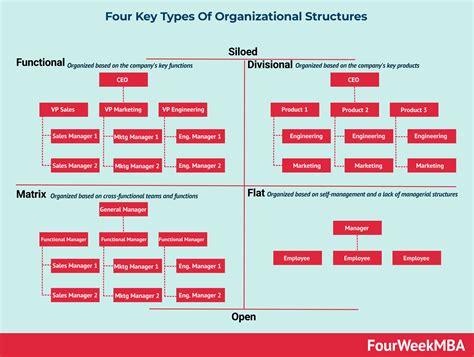 Organisational Structures Types 的图像结果