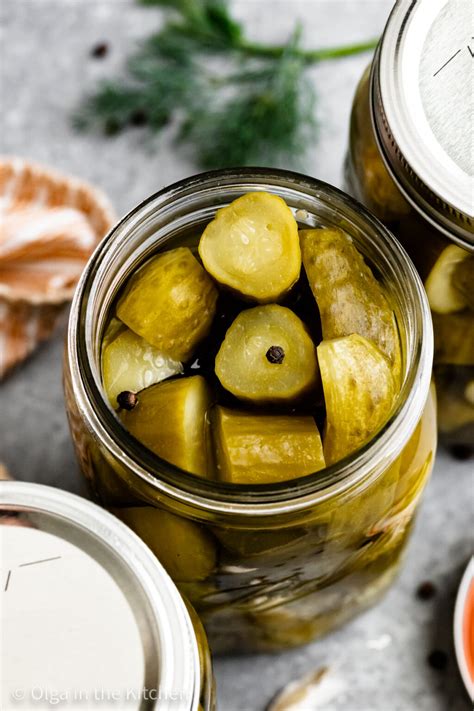 Homemade Dill Pickles With Onions at Walter Mcglothlin blog