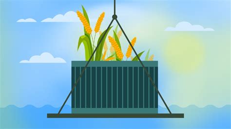 ‘Year of Millets’ to ‘Shree Anna’ in G20 menus: India’s push for the ...