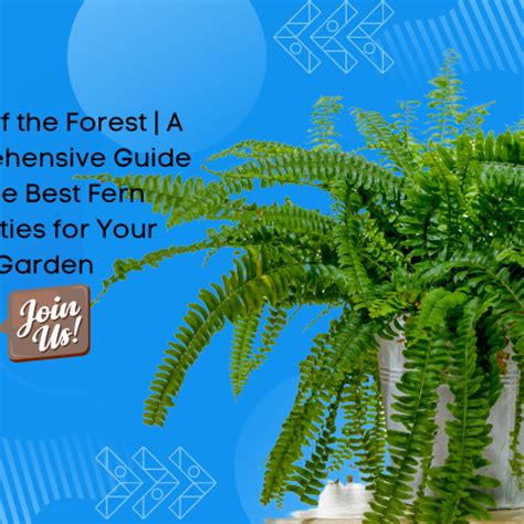 Best Gardening Tips | News and Care — Tagged "varieties" — Mahindra Nursery