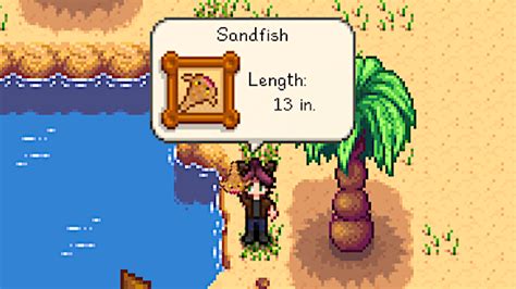 How To Catch A Sandfish In Stardew Valley