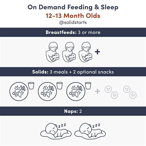 Baby Feeding Schedules by Month - From 6 to 24 Months - Solid Starts