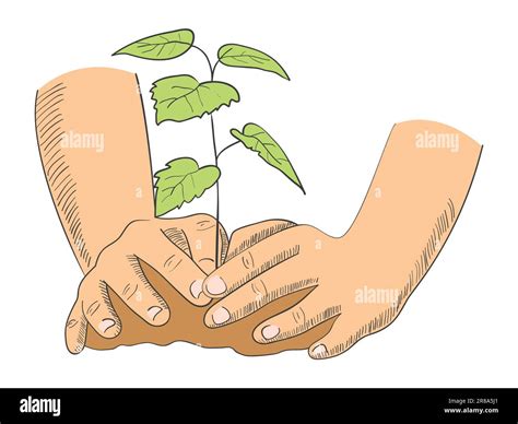 Illustration of hands planting young tree Stock Vector Image & Art - Alamy