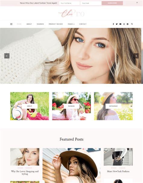 Chic Lite WordPress Theme 的图像结果