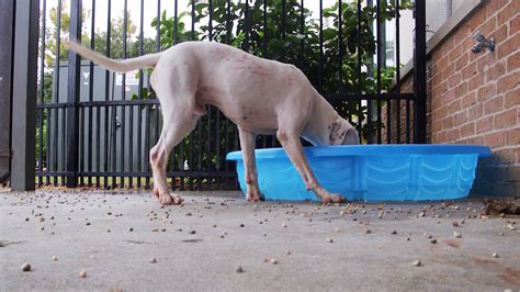 ‘Everything froze’: Woman describes lightning strike at Lake Murray