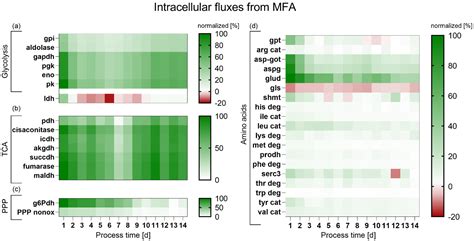An Investigation into the Metabolic Differences between Conventional ...