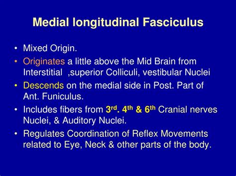 PPT - Extrapyramidal Tracts PowerPoint Presentation, free download - ID ...