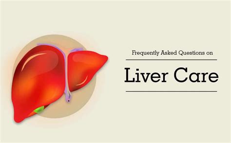 FAQs on Liver Diseases, Diagnosis and their Treatment! – Livby