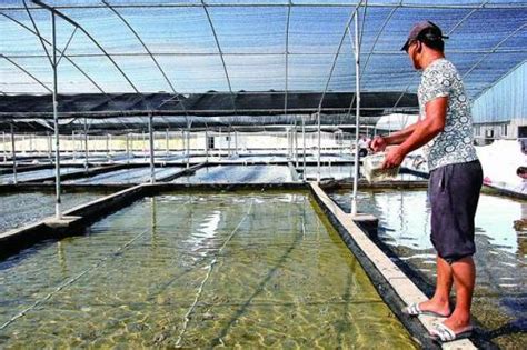 水产养殖设备的优势是什么_山东纳鑫新能源科技有限公司