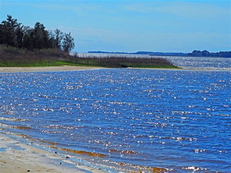 Carolina Beach State Park