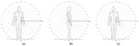 Recognition and Analysis of an Age-Friendly Intelligent Sofa Design ...
