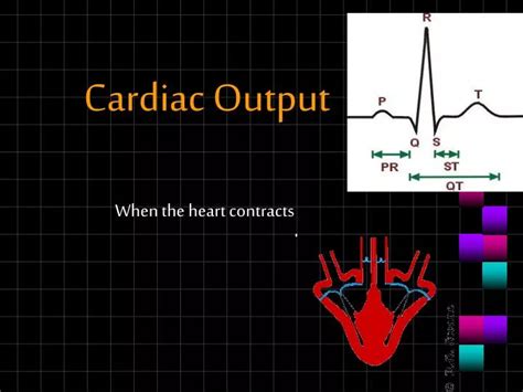 Animation Cardiac Output 的图像结果
