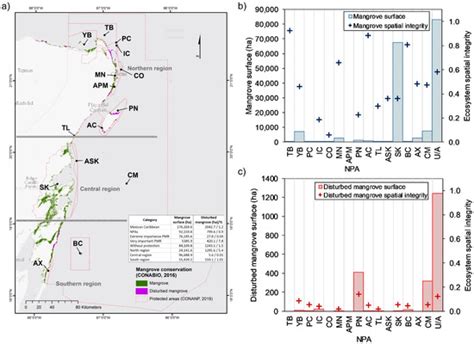 The Conservational State of Coastal Ecosystems on the Mexican Caribbean ...