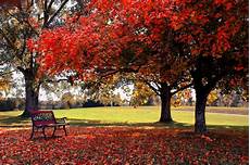 Free Desktop Wallpapers Backgrounds by Free Fall Backgrounds Desktop Wallpaper Cave Free Desktop Wallpapers Backgrounds