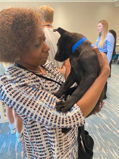 DIAL IT UP! – The blog site of the NSU Law Disability Inclusion and ...