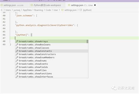 vs Code JSON Python Tutorial 的图像结果