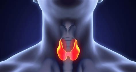 Thyroid Cancer: Early Signs & Treatment Advances