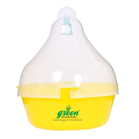 Maxplus Trap Fruit fly trap - Pack of 10 (Only Maxplus Trap not ...