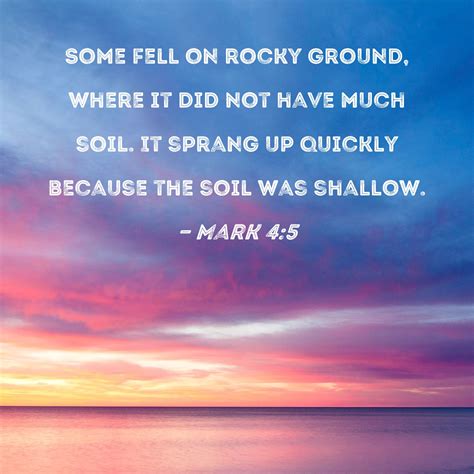 Mark 4:5 Some fell on rocky ground, where it did not have much soil. It sprang up quickly ...