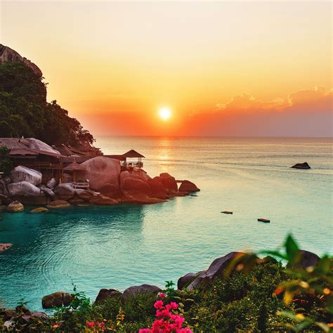 Download wallpaper 3415x3415 ocean, horizon, sunset, beach, vegetation ...