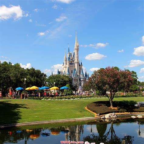 🔥 [47+] Walt Disney World Wallpapers | WallpaperSafari