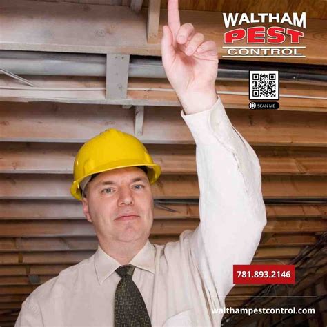 Best Exterminator in Everett MA: 40+ Yrs Expert Results