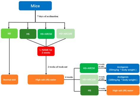 Arctigenin Attenuates Vascular Inflammation Induced by High Salt ...