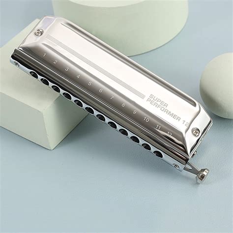 Buy MEIeynt Chromatic Harmonica Professional 12 Hole 48 Tone Key of C ...