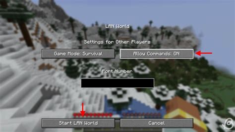 How to Enable Cheats Minecraft Java 的图像结果