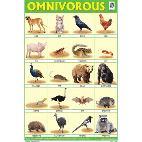 OMNIVOROUS ANIMALS SIZE 24 X 36 CMS CHART NO. 242