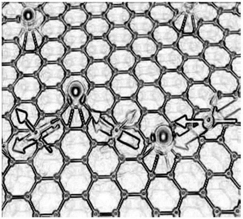 类蜂窝夹层结构石墨烯-环氧树脂复合材料及其制备方法与流程