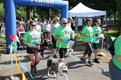 FETCH your registration Auburn's Dog Trot 2024! 🐶